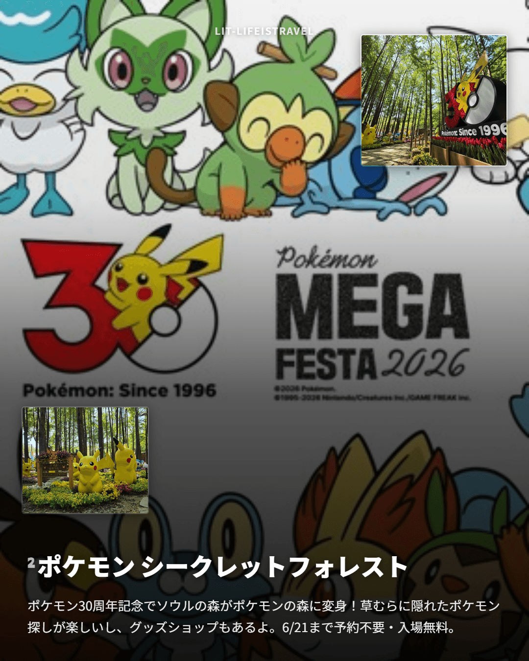 5月が終わる前に行くべきポップアップ&展示5選 — LIT ウィークリーカードニュース - 3