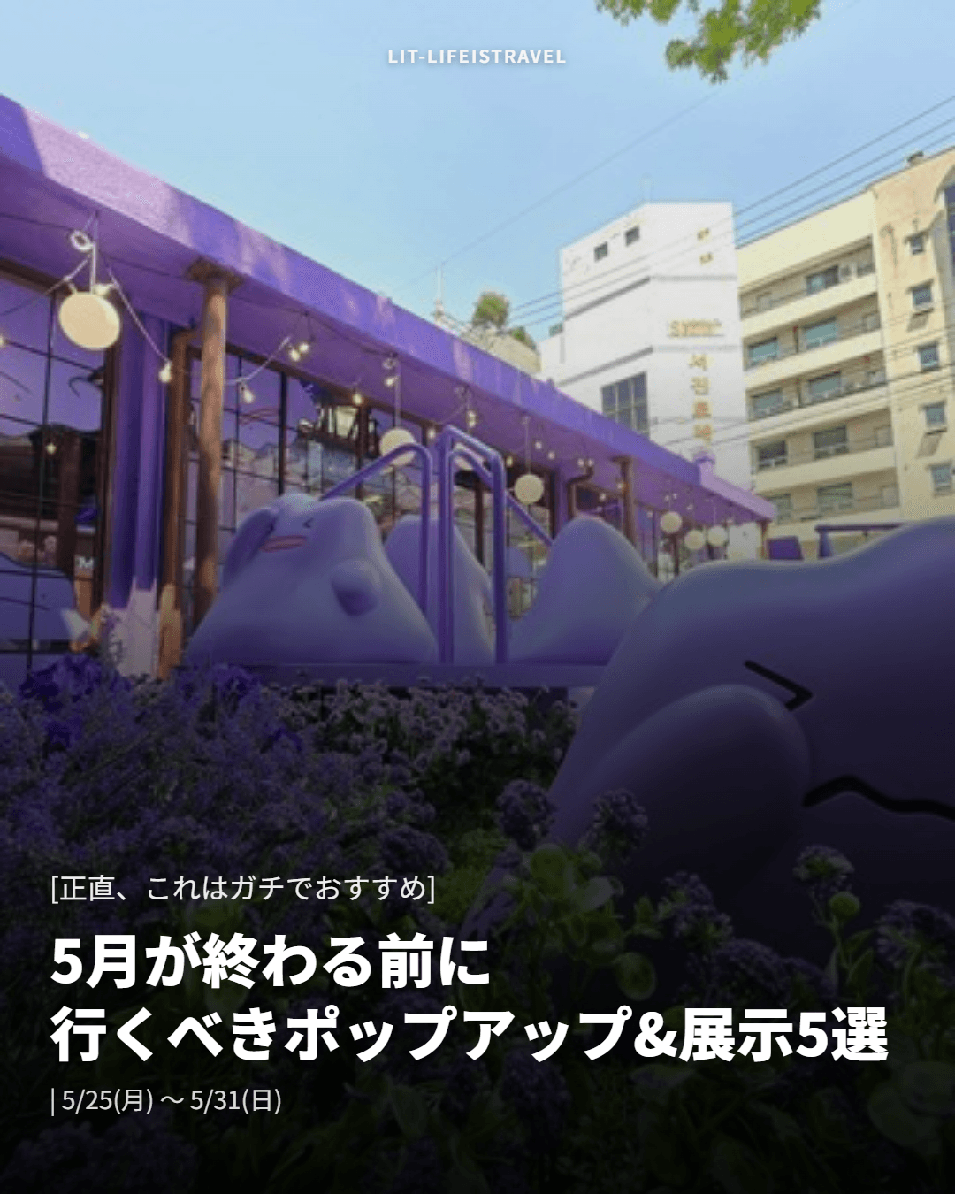5月が終わる前に行くべきポップアップ&展示5選 — LIT ウィークリーカードニュース